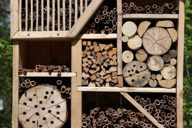 Botanik bahçesindeki böcek oteli. Böceklerin kışın kış uykusuna yatması için sığınak.