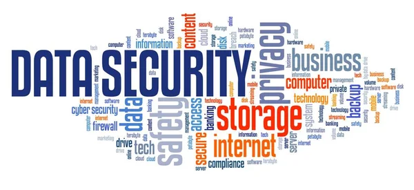 データ セキュリティ テキスト記号情報のプライバシーおよび安全なストレージ技術コンセプト 単語の雲 — ストック写真