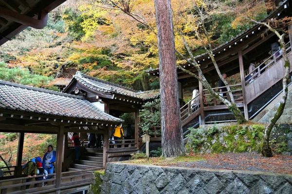 Kyoto Japan November 2016 Menschen Besuchen Die Gärten Eikando Zenrinji — Stockfoto