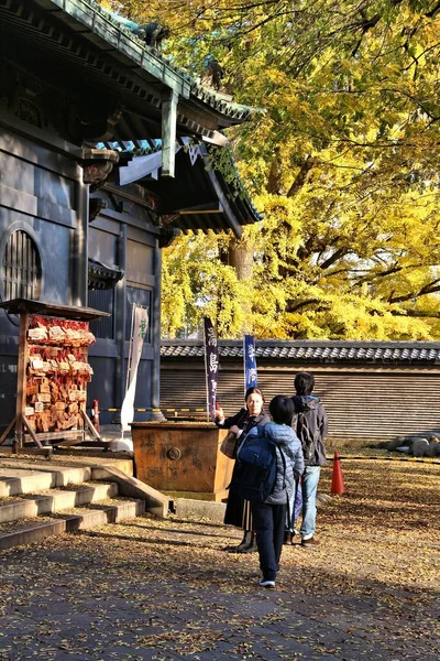 2016年12月4日 人们参观汤岛到访汤岛圣堂在东京的孔庙 古庙可追溯到第十七世纪 — 图库照片