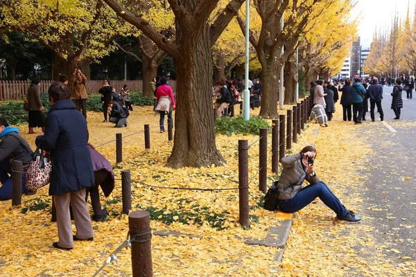 Tokyo Ιαπωνια Νοεμβριου 2016 Άνθρωποι Γιορτάζουν Φθινοπωρινό Φύλλωμα Της Λεωφόρου — Φωτογραφία Αρχείου