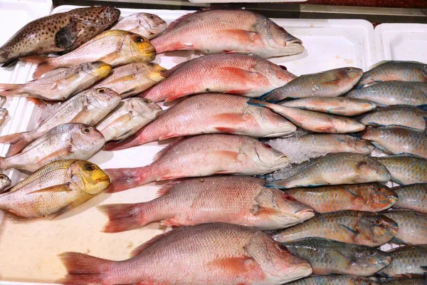 ビリングス ゲート魚市場ロンドン イギリス 真鯛とロロ魚 — ストック写真