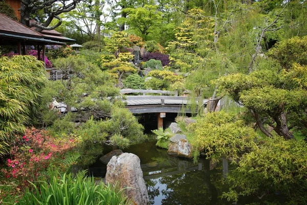 San Francisco Japanse Theetuin Golden Gate Park — Stockfoto