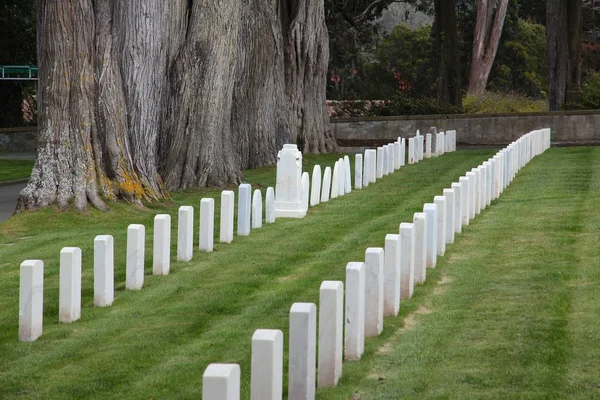 Σαν Φρανσίσκο Ηπα Απριλίου 2014 San Francisco Εθνικό Νεκροταφείο Στην — Φωτογραφία Αρχείου