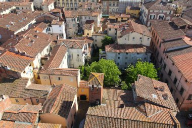 Lucca, İtalya - Toskana Ortaçağ şehir. Çatıları havadan görünümü.