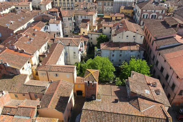 Lucca Włochy Średniowiecznego Miasta Toskanii Widok Dachy — Zdjęcie stockowe