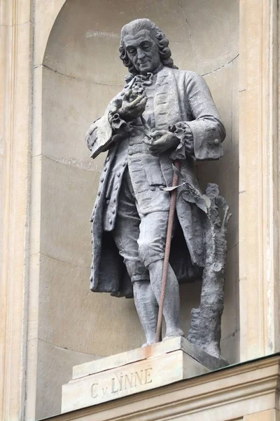 Stockholm Suecia Agosto 2018 Estatua Carl Linnaeus Fachada Del Palacio —  Fotos de Stock