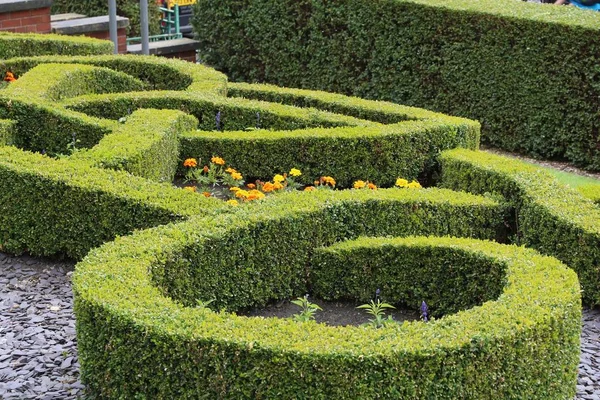 Leeds Ciudad West Yorkshire Reino Unido Jardín Setos Recortado Frente — Foto de Stock