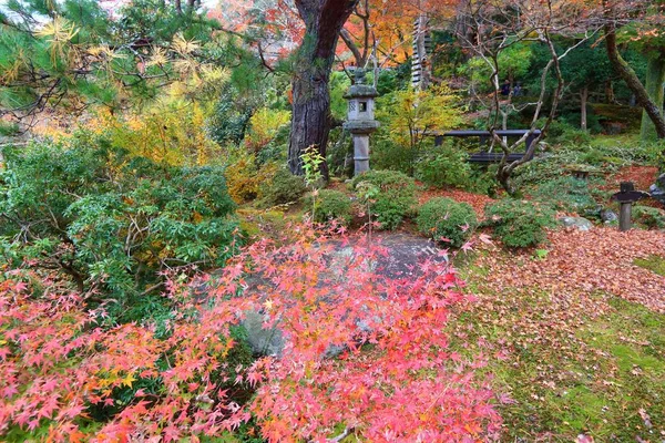 日本庭園の紅葉 Yoshikien の日本庭園で赤いもみじの葉 カエデ — ストック写真