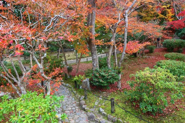 Autumn Colors Japanese Garden Nara Red Momiji Leaves Maple Tree — Stock Photo, Image