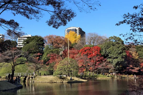 Осень Токио Япония Koishikawa Korakuen Garden — стоковое фото