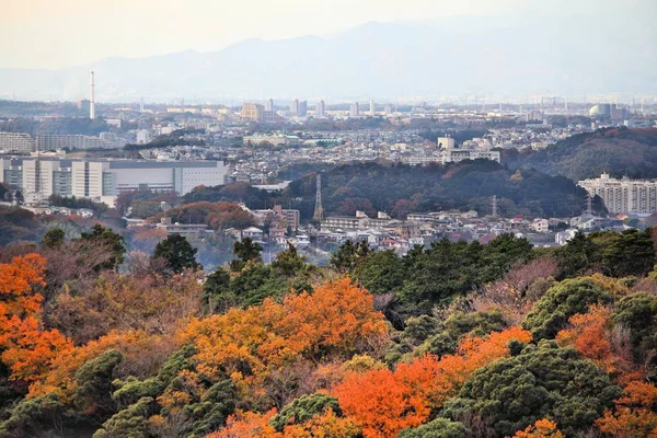 Японія Камакура Місто Пташиного Польоту Осінні Дерева Пагорби — стокове фото