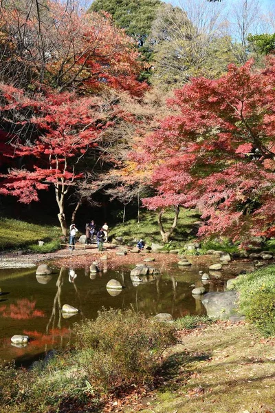 Tokyo Japan November 2016 Hösten Besöker Man Koishikawa Korakuen Garden — Stockfoto