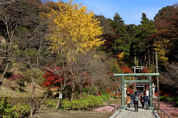 Kamakura Japan Dezember 2016 Touristen Besuchen Den Kencho Tempel Kamakura — Stockfoto