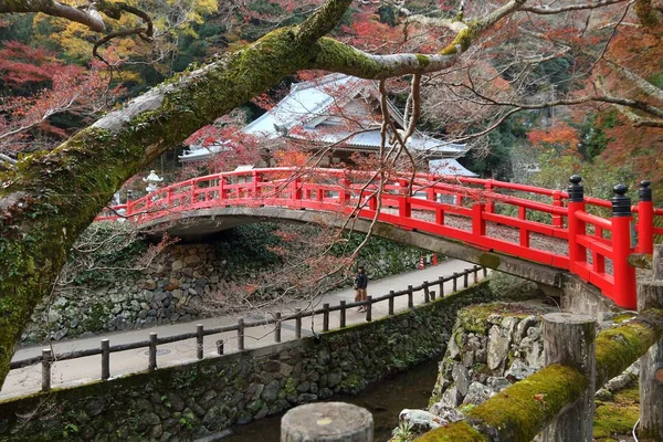 Red Japanese Bridge Minoo Park Osaka Japan — Stock Photo, Image