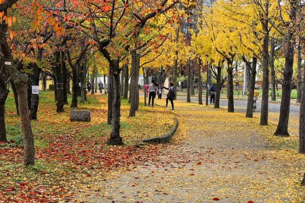 Osaka Japão Novembro 2016 Pessoas Gostam Folhas Outono Osaka Castle — Fotografia de Stock