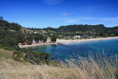 Yeni Zelanda'da Coromandel manzara. Hahei Beach.