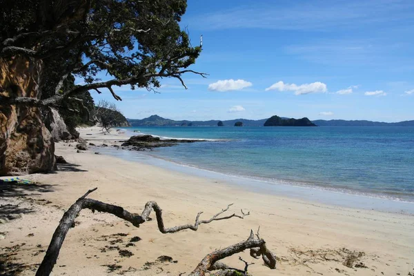 科罗姆德尔景观在新西兰 海平海滩 — 图库照片