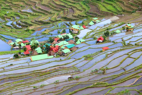 Terraços Arroz Das Filipinas Cultivo Arroz Aldeia Batad Área Banaue — Fotografia de Stock