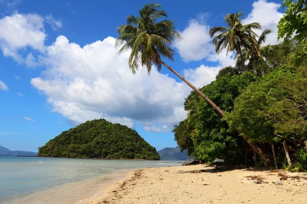 Palmeras Inclinadas Playa Las Cabanas Nido Isla Palawan Filipinas — Foto de Stock