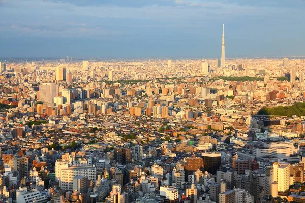 Tokyo Şehir Havadan Görünümü Manzarası Ile Bunkyo Taito Koğuşta Günbatımı — Stok fotoğraf