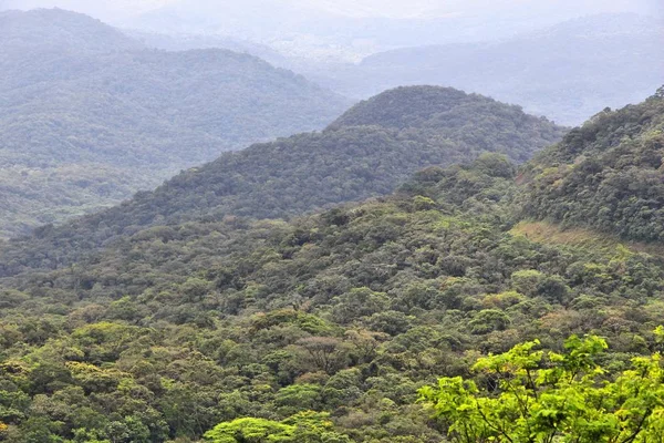 丛林覆盖的山在巴西 塞拉韦德景观 — 图库照片