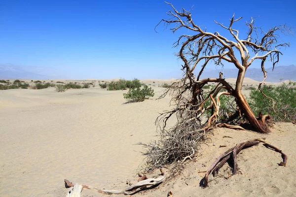 Park Narodowy Doliny Śmierci Pustynia Mojave Kalifornii Usa Hrabstwo Inyo — Zdjęcie stockowe