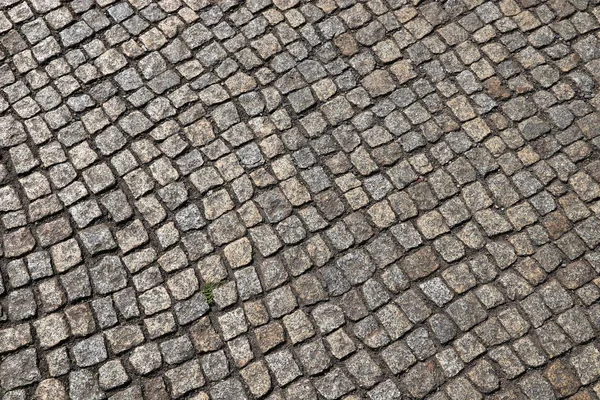 Fondo Pavimentación Piedra Patrón Adoquines Granito Dresde Alemania — Foto de Stock