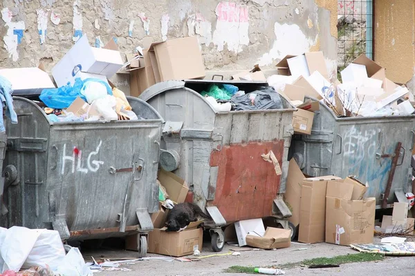 Subotica Serbia August 2012 Municipal Waste Dumpsters Subotica Serbia 2016 — Stock Photo, Image