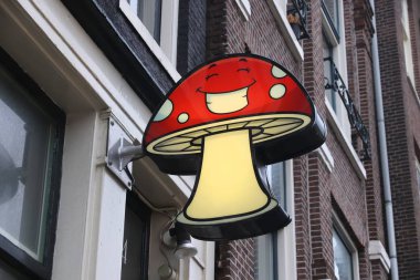 Amsterdam, Hollanda - 6 Aralık 2018: Magic Amsterdam deposunda mantar. Hollanda rahat yasalar doğru eğlence psychodelic mantar gibi ilaçların kullanımı için bilinen.
