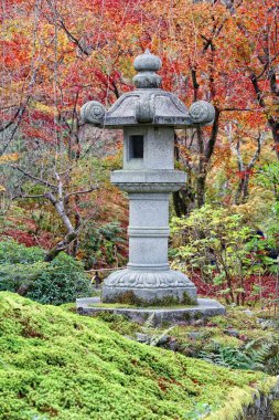 Arashiyama, Kyoto Japon taş fener intenryuji bahçeleri. Sonbahar yaprakları.