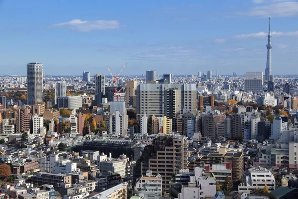 Tokyo City Skyline Japanese Capital City Aerial View Seen Bunkyo — Stock Photo, Image