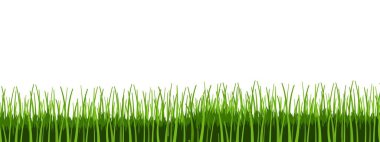 Yeşil çim vektör. Çim sınır illüstrasyon.