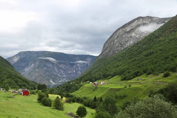 Groene Vallei Landschap Noorwegen Laerdal Boerderijen Landelijk Gebied Noorwegen — Stockfoto