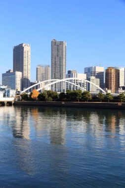 Tokyo siluetinin - Kachidoki, yüksek binaların daire ile modern yerleşim mahalleleri.