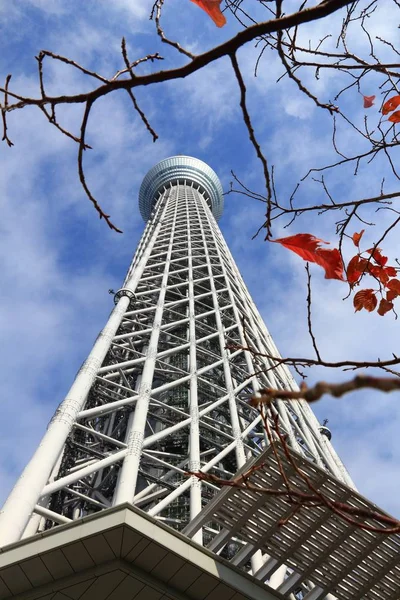 Skytree στο Τόκιο, Ιαπωνία — Φωτογραφία Αρχείου