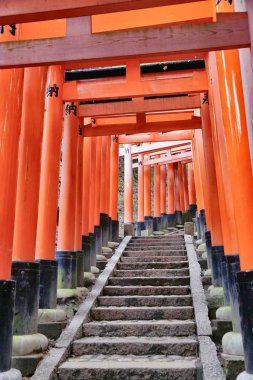Torii gates, Kyoto
