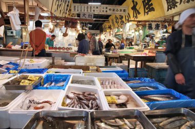 tsukiji balık pazarı