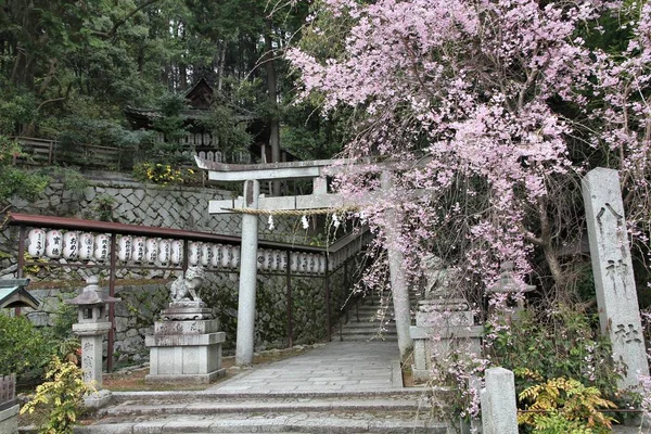 京都、日本 — ストック写真