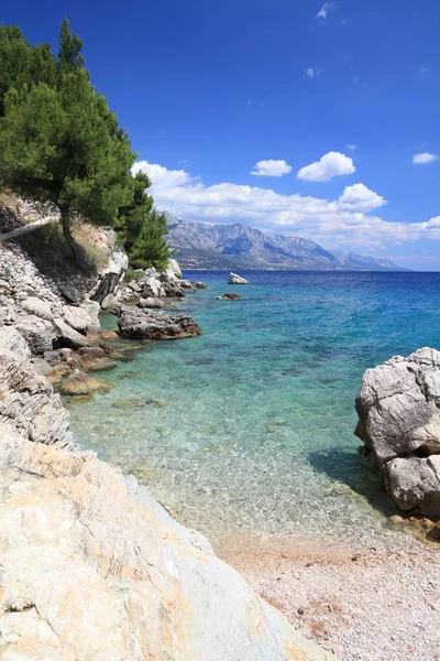 Dalmatia summer landscape — Stock Photo, Image