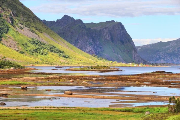 Tidal marsh lands — Stock Photo, Image