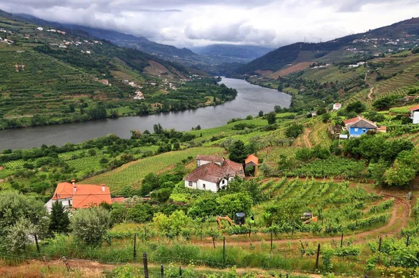 Portugal región vinícola — Foto de Stock