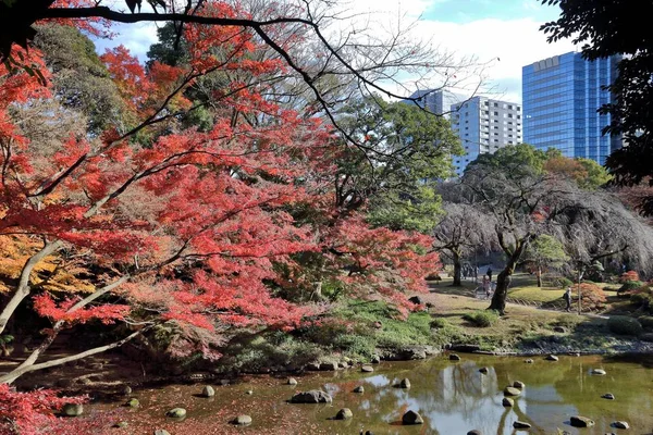 Koishikawa korakuen trädgård — Stockfoto