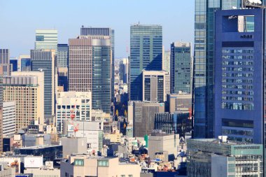 Tokyo şehir havadan görünümü
