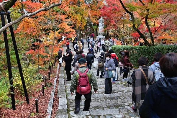 Folhas de outono de Kyoto — Fotografia de Stock