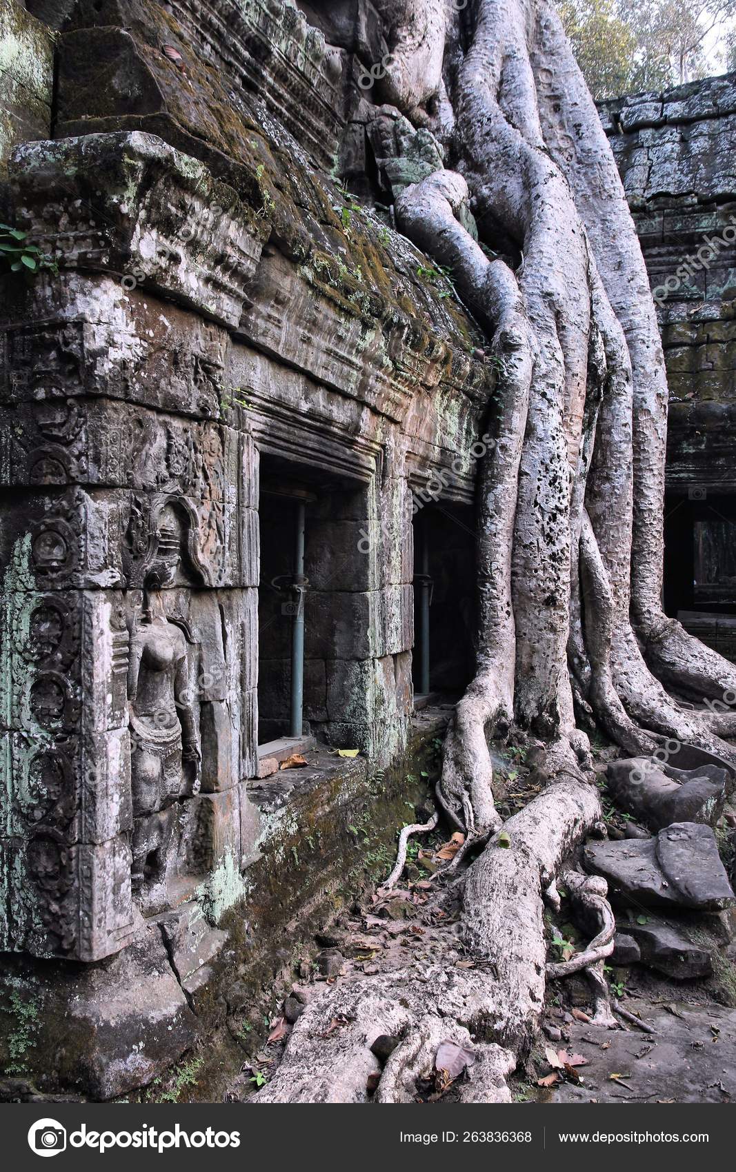 Jungle Temple Stock Photo Image By C Tupungato