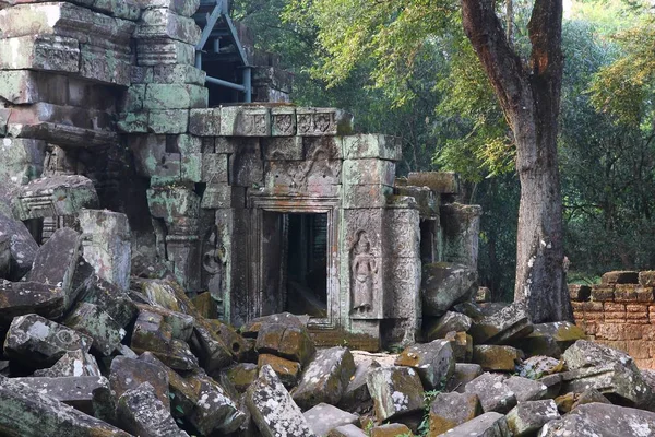 Djungel tempel — Stockfoto