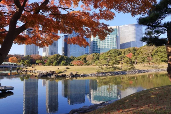 Sonbahar Tokyo — Stok fotoğraf