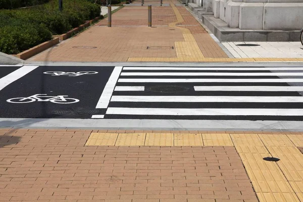 Paso peatonal Japón — Foto de Stock