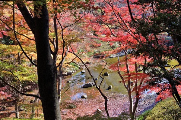 Herbstfarben von Tokyo — Stockfoto